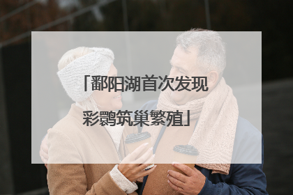鄱阳湖首次发现彩鹮筑巢繁殖