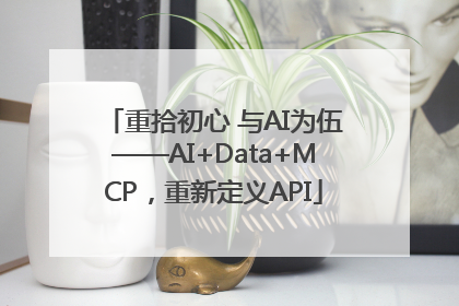 重拾初心 与AI为伍——AI+Data+MCP，重新定义API