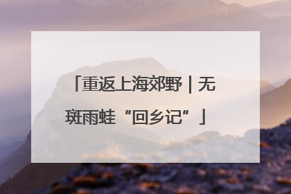 重返上海郊野｜无斑雨蛙“回乡记”