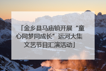 金乡县马庙镇开展“童心同梦同成长”运河大集文艺节目汇演活动