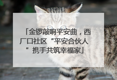 金锣敲响平安曲，西厂口社区“平安合伙人”携手共筑幸福家