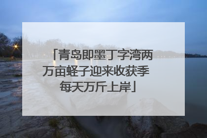 青岛即墨丁字湾两万亩蛏子迎来收获季 每天万斤上岸