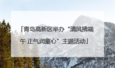 青岛高新区举办“清风拂端午 正气润童心”主题活动