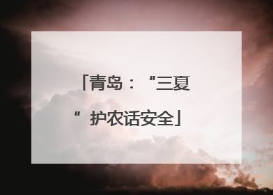 青岛：“三夏”护农话安全