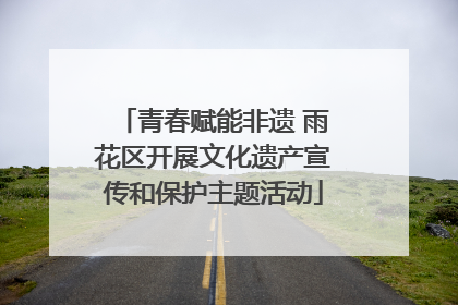 青春赋能非遗 雨花区开展文化遗产宣传和保护主题活动