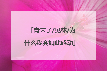 青未了/见林/为什么我会如此感动