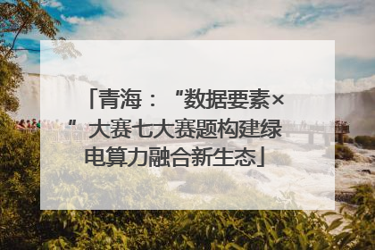 青海：“数据要素×”大赛七大赛题构建绿电算力融合新生态