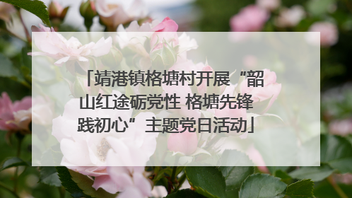 靖港镇格塘村开展“韶山红途砺党性 格塘先锋践初心”主题党日活动
