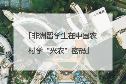 非洲留学生在中国农村学“兴农”密码