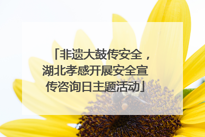 非遗大鼓传安全，湖北孝感开展安全宣传咨询日主题活动