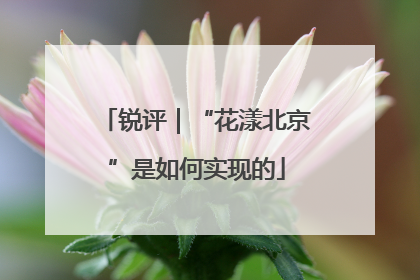 锐评｜“花漾北京”是如何实现的
