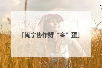 闽宁协作孵“金”蛋