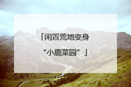 闲置荒地变身“小鹿菜园”