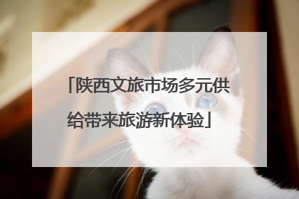 陕西文旅市场多元供给带来旅游新体验