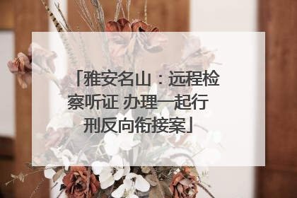 雅安名山：远程检察听证 办理一起行刑反向衔接案