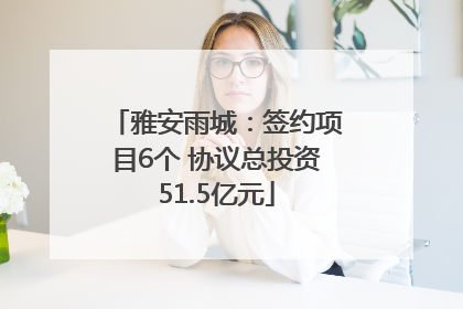 雅安雨城：签约项目6个 协议总投资51.5亿元