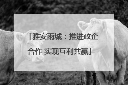 雅安雨城：推进政企合作 实现互利共赢
