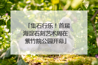 集石行乐！首届海淀石刻艺术周在紫竹院公园开幕