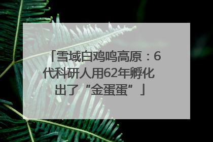 雪域白鸡鸣高原：6代科研人用62年孵化出了“金蛋蛋”