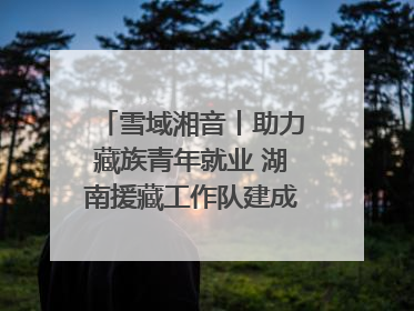 雪域湘音丨助力藏族青年就业 湖南援藏工作队建成西藏首个清洁能源装备园