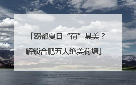 霸都夏日“荷”其美？解锁合肥五大绝美荷塘
