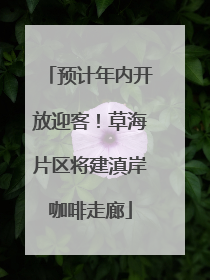 预计年内开放迎客！草海片区将建滇岸咖啡走廊