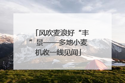 风吹麦浪好“丰”景——多地小麦机收一线见闻