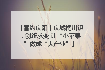 香约庆阳｜庆城桐川镇：创新求变 让“小苹果”做成“大产业”