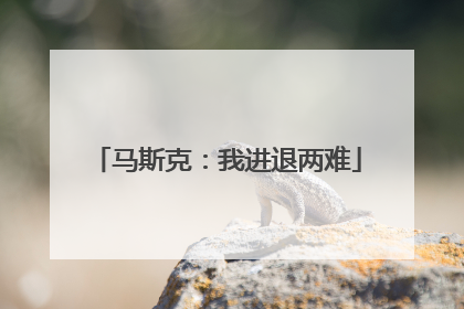 马斯克：我进退两难