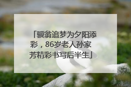 骥翁追梦为夕阳添彩，86岁老人孙家芳精彩书写后半生