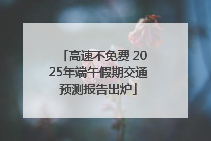 高速不免费 2025年端午假期交通预测报告出炉