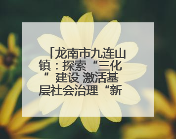 龙南市九连山镇：探索“三化”建设 激活基层社会治理“新动能”