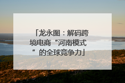 龙永图：解码跨境电商“河南模式”的全球竞争力