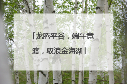龙腾平谷，端午竞渡，驭浪金海湖