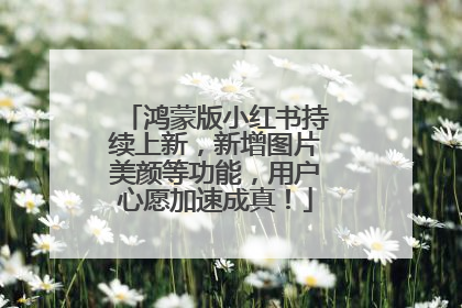 鸿蒙版小红书持续上新，新增图片美颜等功能，用户心愿加速成真！