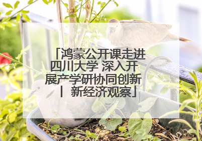 鸿蒙公开课走进四川大学 深入开展产学研协同创新丨 新经济观察
