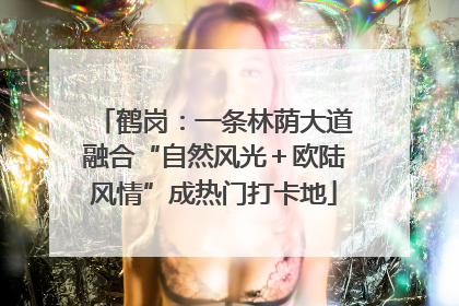 鹤岗：一条林荫大道融合“自然风光＋欧陆风情”成热门打卡地