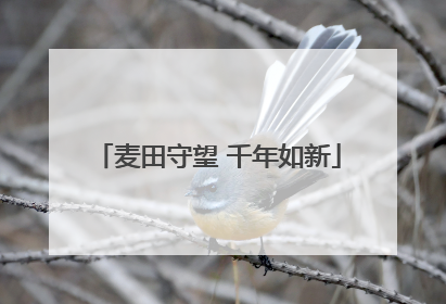 麦田守望 千年如新