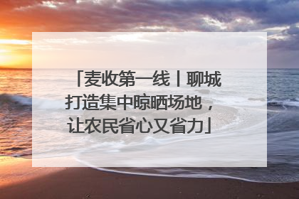 麦收第一线丨聊城打造集中晾晒场地，让农民省心又省力