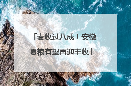 麦收过八成！安徽夏粮有望再迎丰收