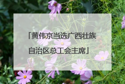 黄伟京当选广西壮族自治区总工会主席