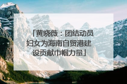 黄晓薇：团结动员妇女为海南自贸港建设贡献巾帼力量