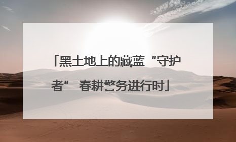 黑土地上的藏蓝“守护者” 春耕警务进行时