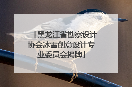黑龙江省勘察设计协会冰雪创意设计专业委员会揭牌