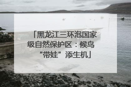 黑龙江三环泡国家级自然保护区：候鸟“带娃”添生机