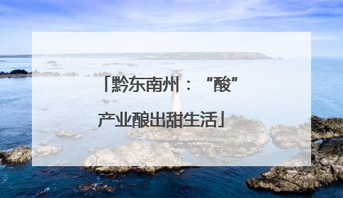 黔东南州：“酸”产业酿出甜生活