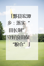 黟县宏潭乡：落实“田长制” 守好良田保“粮仓”