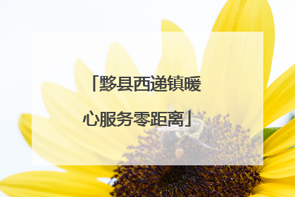 黟县西递镇暖心服务零距离