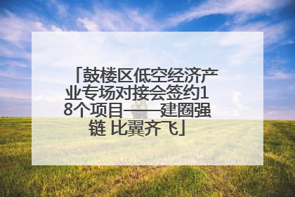 鼓楼区低空经济产业专场对接会签约18个项目——建圈强链 比翼齐飞