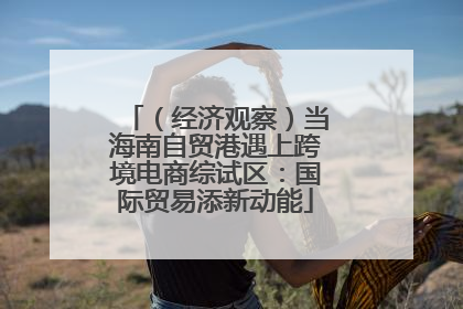 （经济观察）当海南自贸港遇上跨境电商综试区：国际贸易添新动能
